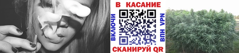 Каннабис Алупка