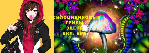 apvp Алексеевка