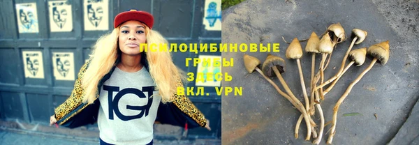 apvp Алексеевка